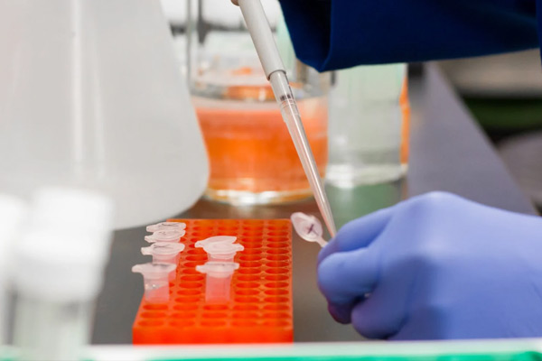 鑳藉姏楠岃瘉涓庡疄楠屽闂村姣